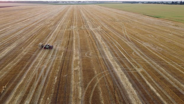 Cleaning straw stacks in field after harvest. Tractor gathering stacks of straw after harvesting wheat on summer evening. Aerial drone view. Field of mowed spike of cereals. Field harvest, harvesting