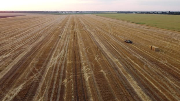 Cleaning straw stacks in field after harvest. Tractor gathering stacks of straw after harvesting wheat on summer evening. Aerial drone view. Field of mowed spike of cereals. Field harvest, harvesting