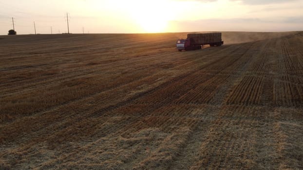Transportation of haystacks from field after harvest by truck during sunset dawn. Shining sun on the horizon. Truck loaded with haystacks driving across field and takes away hay. Sundown sunrise
