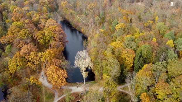 Beautiful scenery view of an autumn park with trees with yellow fallen leaves, lakes, architecture, glades and people walking along dirt paths on an autumn day. Flying over the autumn park. Top view.