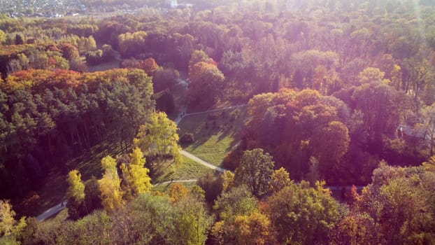 Flying over trees with yellow and green leaves in park with dirt paths on sunny autumn day. Forest wood nature sunlight sunshine. Autumnal background. Aerial drone view. Red sun glare, solar flare