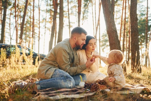 Illuminated by sunlight. Happy family of father, mother and little daughter is in the forest.