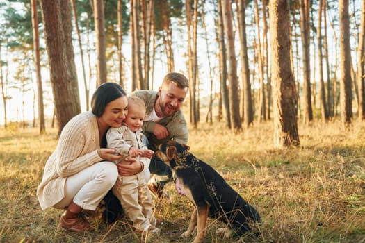 Playing with dog. Happy family of father, mother and little daughter is in the forest.