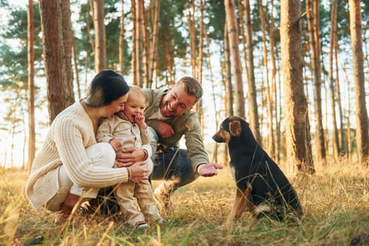Playing with dog. Happy family of father, mother and little daughter is in the forest.