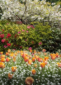 Vancouver IslandSpring Blooms in Buchart Formal Gardens