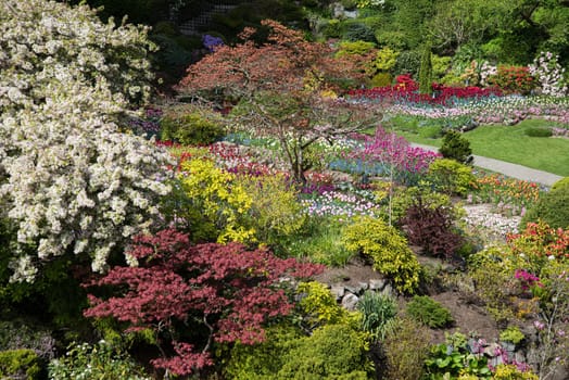 Butchart Gardens Vancouver Island has fantastic Springtime blooms