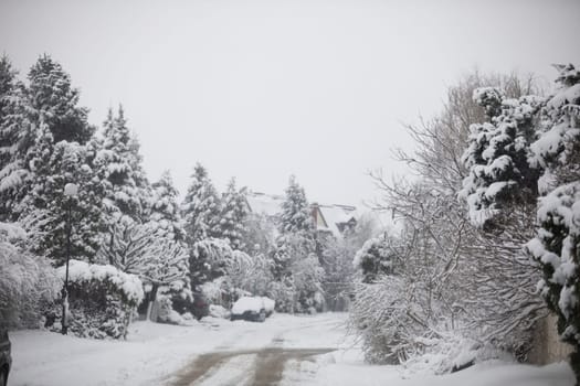 Snow has covered the trees, cars, street and sidewalks. There are tall trees on both sides of the estate street. It is winter and there is heavy snowfall. A residential block can be seen in the distance.