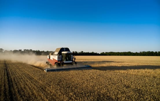 Harvester works in the field. Combine Harvesting Wheat. Field field of cereals during harvesting. Modern equipment works. 07.07.22, Rostov region, Russia.