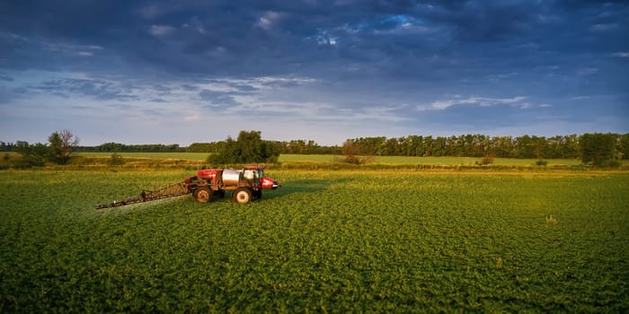 Sprayer CASE 3330 spraying pesticides on chickpea field. Field treatment with chemicals against pests, insects and plant diseases. Taking care of the Crop. 21.06.22, Rostov area. Russia