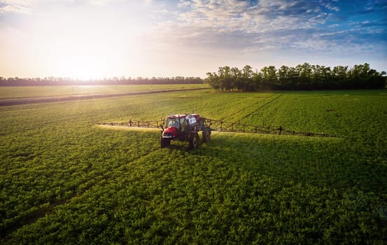 Sprayer CASE 3330 spraying pesticides on chickpea field. Field treatment with chemicals against pests, insects and plant diseases. Taking care of the Crop. 21.06.22, Rostov area. Russia