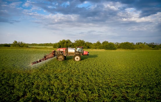 Sprayer CASE 3330 spraying pesticides on chickpea field. Field treatment with chemicals against pests, insects and plant diseases. Taking care of the Crop. 21.06.22, Rostov area. Russia