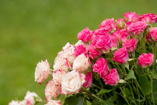 Small roses bouquet on light grey textured background with copy space