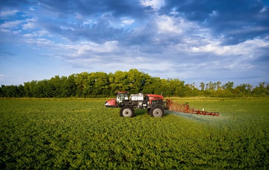 Sprayer CASE 3330 spraying pesticides on chickpea field. Field treatment with chemicals against pests, insects and plant diseases. Taking care of the Crop. 21.06.22, Rostov area. Russia