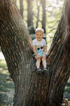 Cute kid boy sitting on the big tree in the park on a spring or summer day. Active boy in the park.