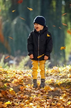 Happy kid having fun in autumn forest or park on fall day. Simple happiness. Sweet childhood memories. Toddler boy enjoy autumn and yellow leaves. Happy childhood.