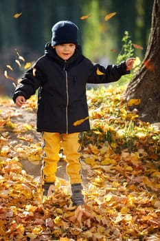 Happy adorable child boy with leaves in autumn park. The concept of childhood, family and kid. Happy childhood.