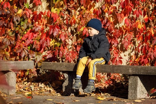 A portrait of a little sad boy in the autumn park in a colorful foliage background.