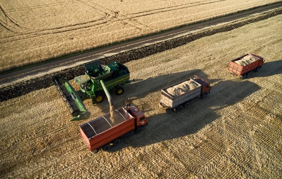 Combine Harvester Wheat. Unloading of grain from the combine. Field field of cereals during harvesting. Modern agriculture. 07.07.22, Rostov region, Russia