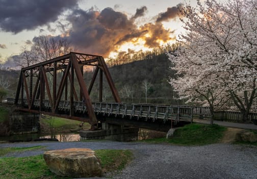 Old steel girder bridge carrying walking and cycling trail in Morgantown WV over Deckers Creek with cherry blossoms blooming in the spring