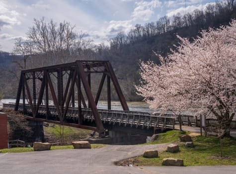 Old steel girder bridge carrying walking and cycling trail in Morgantown WV over Deckers Creek with cherry blossoms blooming in the spring