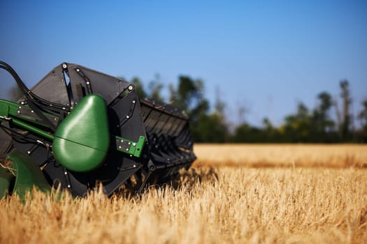 Agricultural combine harvester in the field during harvest ripe wheat. Combine working on a wheat field. Harvester during harvesting. Combine Harvester harvesting crops, Closeup of the harvesting tool