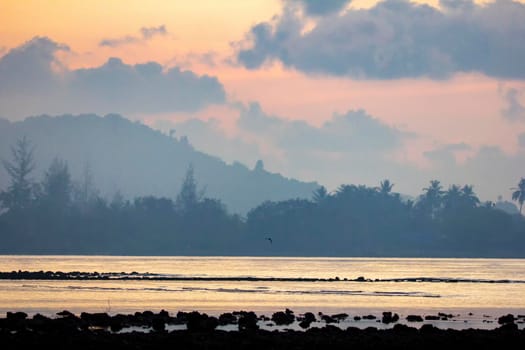 The seaside atmosphere at the early morning. First light before sunrise. mangrove forest.