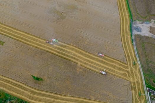 Top view of combines harvesting wheat, wheat is poured into a trailer attached to a tractor. Harvesting grain in the field. High yield of wheat.