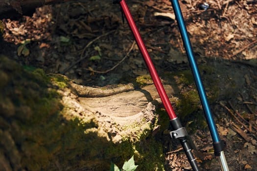 Close up view of touristic equipment that is in the forest.