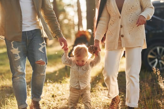 Sunlight at background. Happy family of father, mother and little daughter is in the forest.