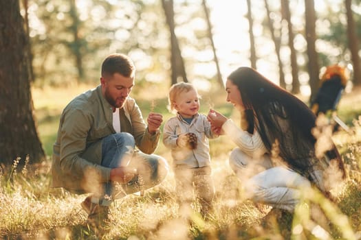 Having fun. Happy family of father, mother and little daughter is in the forest.