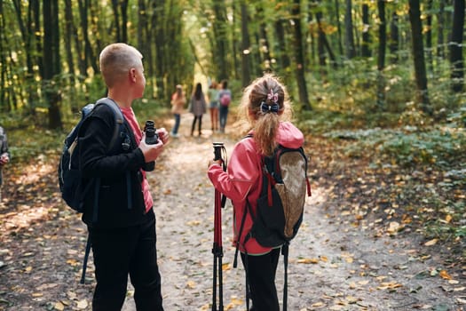 Founding the way. Kids in green forest at summer daytime together.