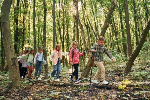 Walking on the log. Kids in green forest at summer daytime together.