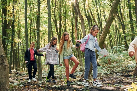 Walking together. Kids in green forest at summer daytime together.