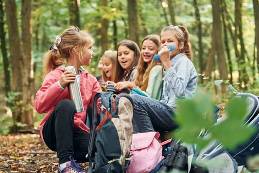 Sitting and having a rest. Kids in green forest at summer daytime together.