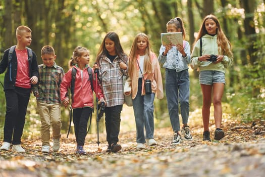 Walking together. Kids in green forest at summer daytime.
