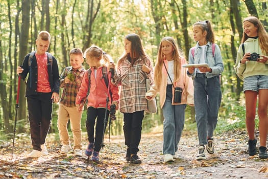 Walking together. Kids in green forest at summer daytime.