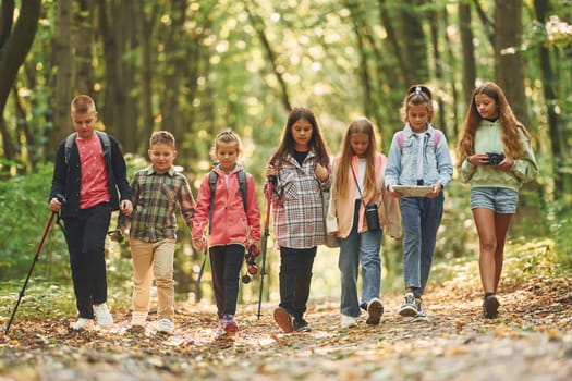 Walking together. Kids in green forest at summer daytime.