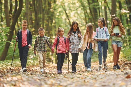 Walking together. Kids in green forest at summer daytime.