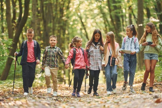In green forest. Kids having a walk outdoors at summer daytime together.