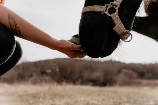 Cute happy young woman with horse. Rider female drives her horse in nature on evening sunset light background. Concept of outdoor riding, sports and recreation.