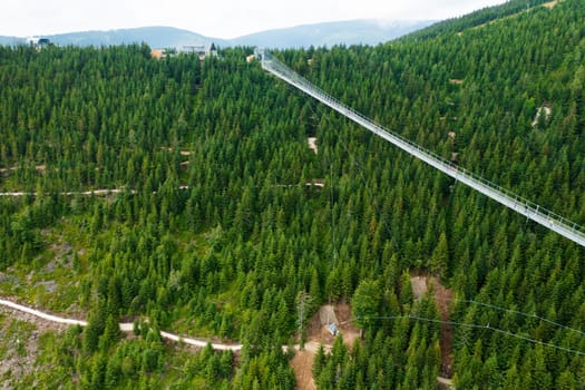 Sky Bridge 721 is the longest suspension bridge between two hills in the forest, Dolni Morava, Czech Republic . One way footbridge in touristic place in the forest in summer.