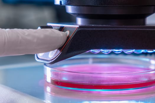 Microscope in a medical research center for analyzing sample. Scientist in rubber gloves testing samples in microchemical laboratory
