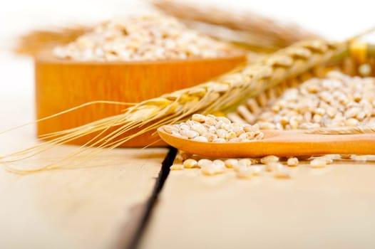 organic wheat grains  over rustic wood table macro closeup