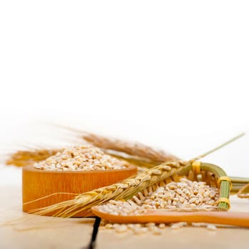 organic wheat grains  over rustic wood table macro closeup