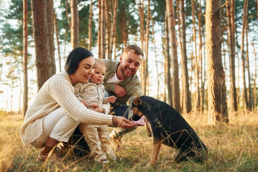 Playing with dog. Happy family of father, mother and little daughter is in the forest.