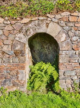 a beautiful green fern in an old stone wall archaeological excavation in France
