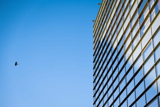 glass building facade with blue sky reflection