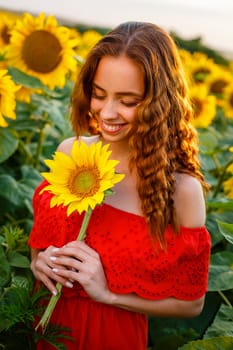 Cute young woman is holding sunflower in her hand while standing in field at sunset. Beautiful gentle girl of Caucasian ethnicity in red dress in the rays of setting sun. The concept of natural