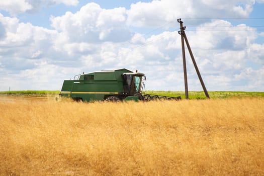 Large wheat field harvesting by a combine harvester. Sunny day. Agriculture