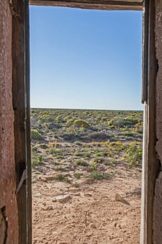 View of the Namaqualand spring flower show from the open doorway of  a ruined Namaqualand house